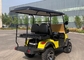 Mini elektrisch voertuig 2 zitplaatsen opgeheven buggy golfkarretjes loodzuur lithiumbatterij aangedreven