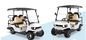 2 + 2 zitplaatsen trolleywagens elektrische golf buggy ECE ISO goedgekeurd