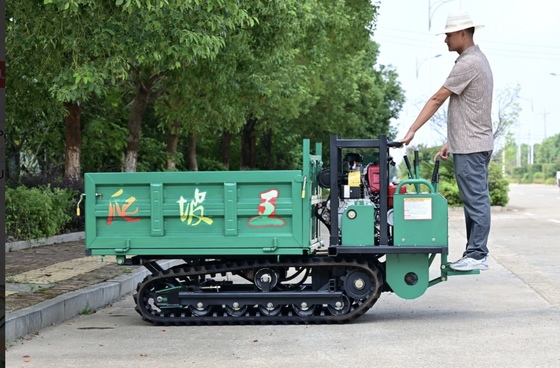 Zelfrijdende Crawler aangedreven GF1000 Mini Dumper verkrijgbaar in de verkoop